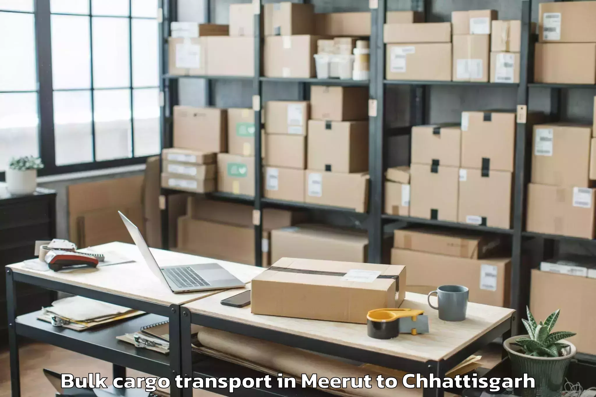 Book Meerut to Jashpur Nagar Bulk Cargo Transport